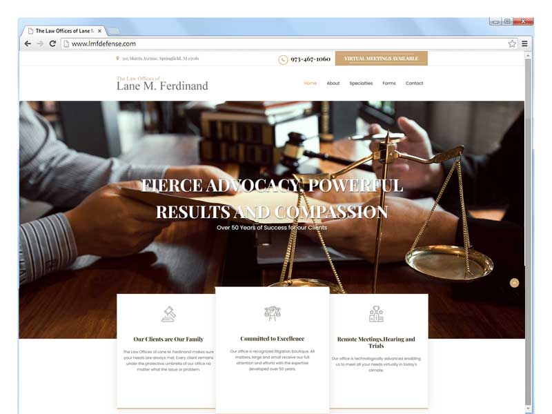 The Law Offices of Lane M. Ferdinand